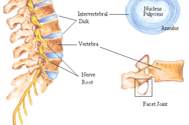 Prevent Back Injury